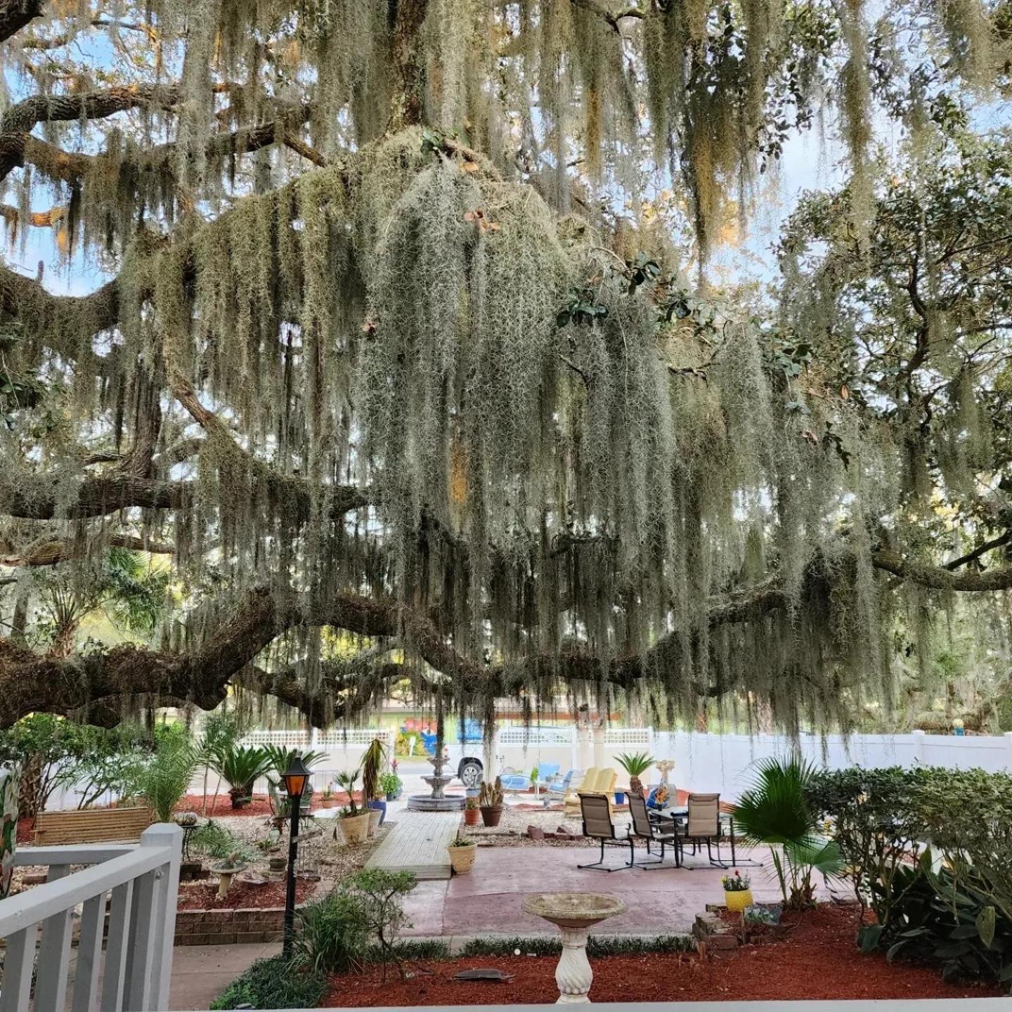 Tybee Island Inn Bed & Breakfast エクステリア 写真